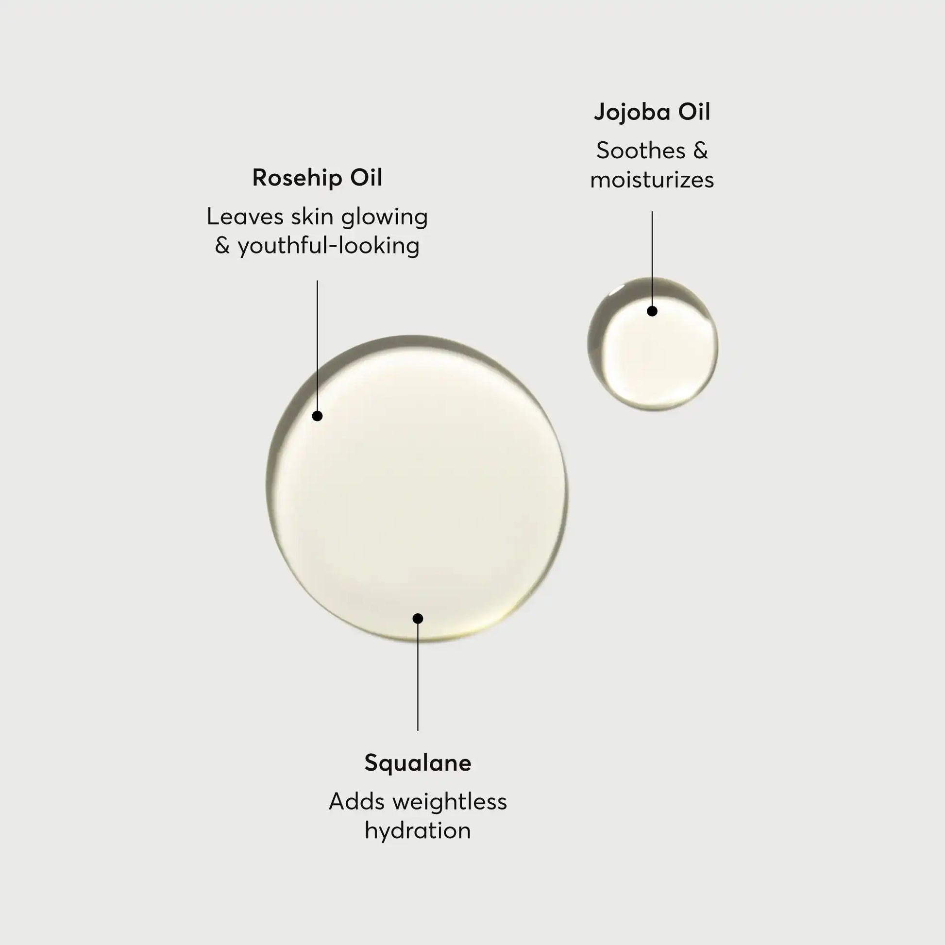 the-glow-getter-body-oil-c1 NATR-10115-Alt-Images-The-Glow-Getter-Body-Oil-01.webp