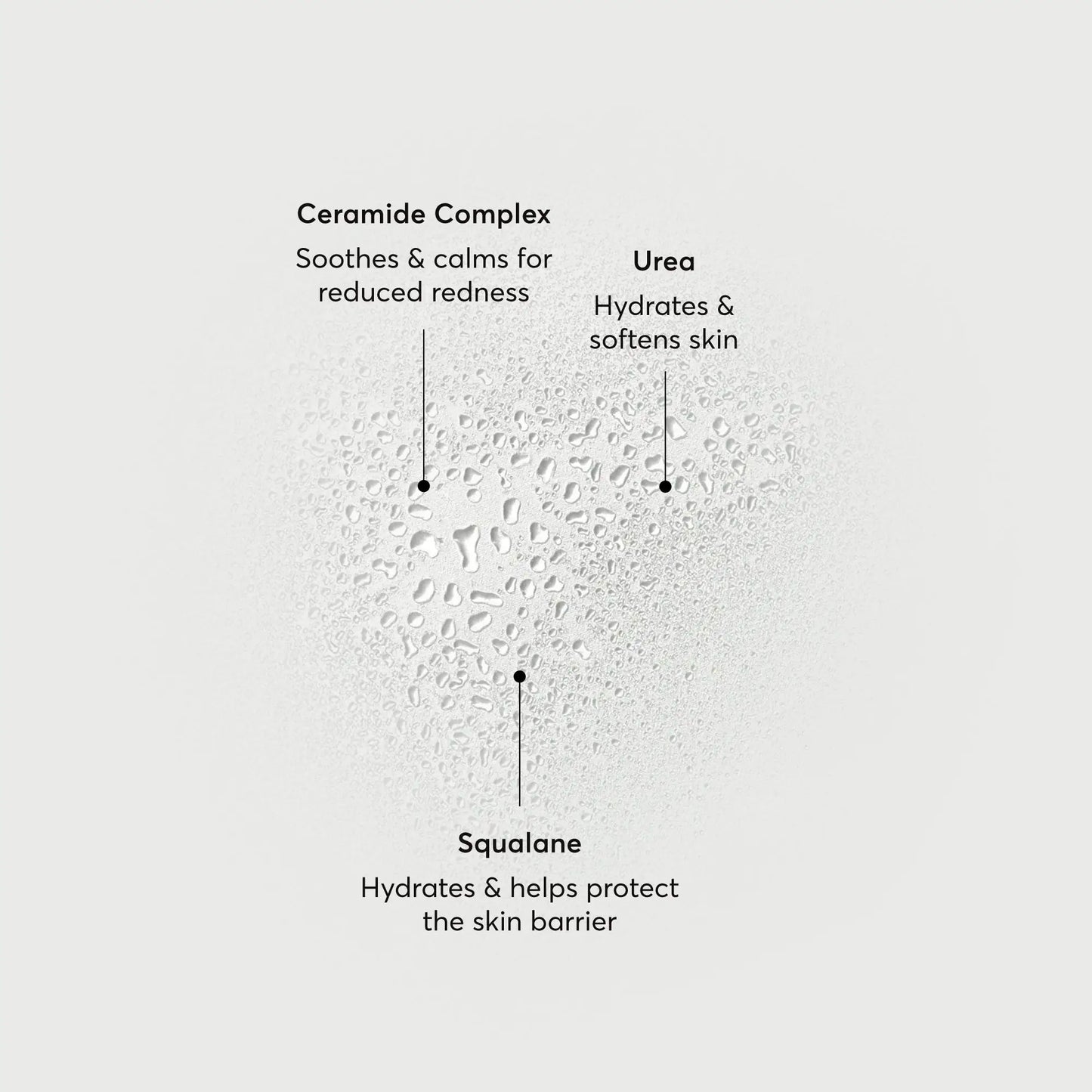 barrier-bounce-bi-phase-mist-f0 NATR-10167-Alt-Images-Barrier-Bounce-Bi-Phase-Toner-Mist_01.webp
