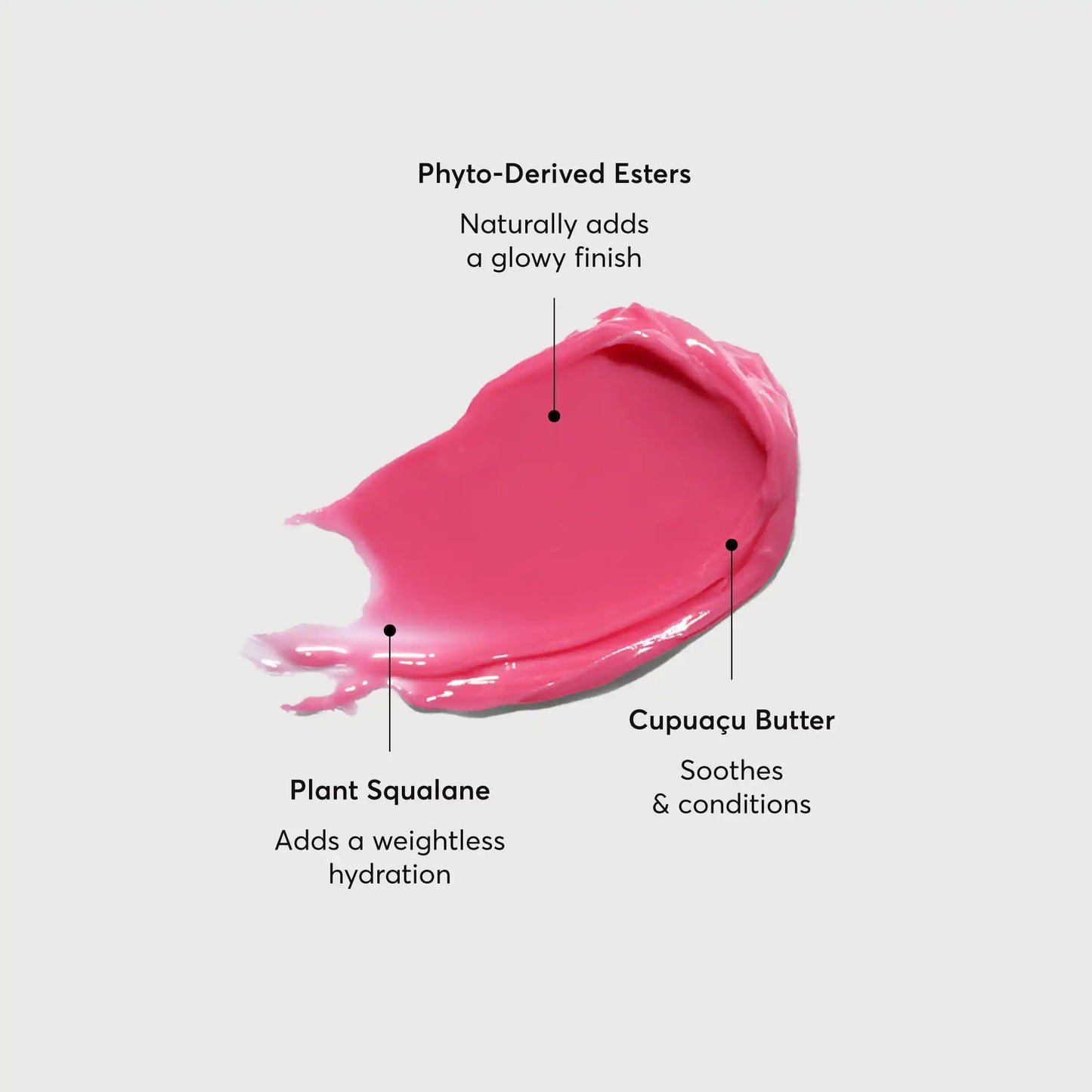 phyto-glow-lip-balm-camellia-m8 NATR-60075-Alt-Images-Phyto-Glow-Lip-Balm-Camellia-01.webp
